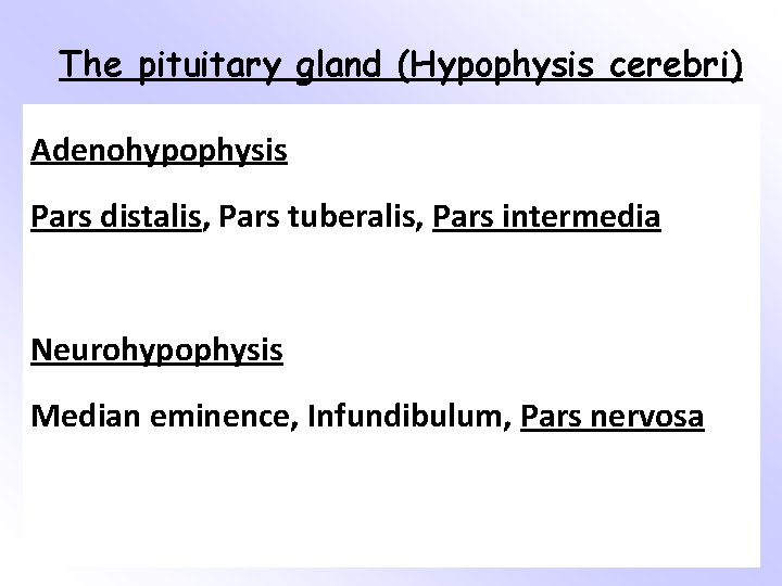 The pituitary gland (Hypophysis cerebri) Adenohypophysis Pars distalis, Pars tuberalis, Pars intermedia Neurohypophysis Median