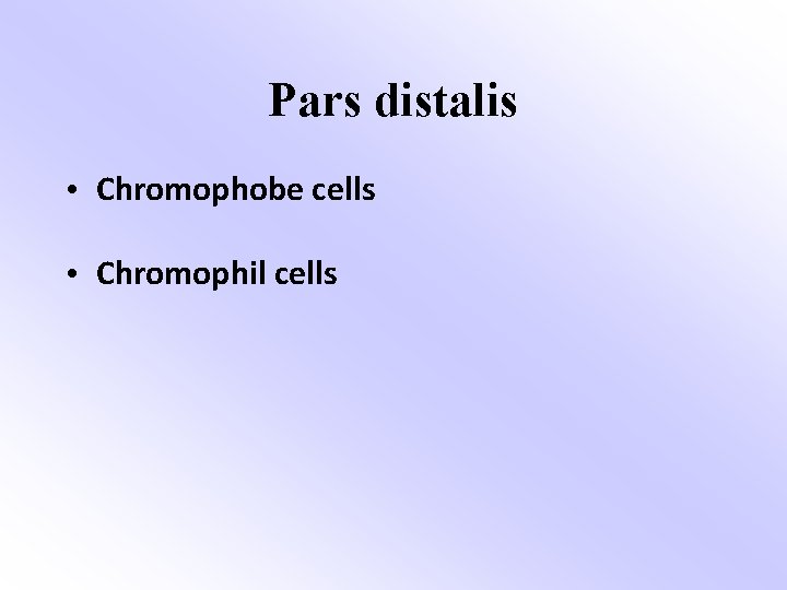 Pars distalis • Chromophobe cells • Chromophil cells 