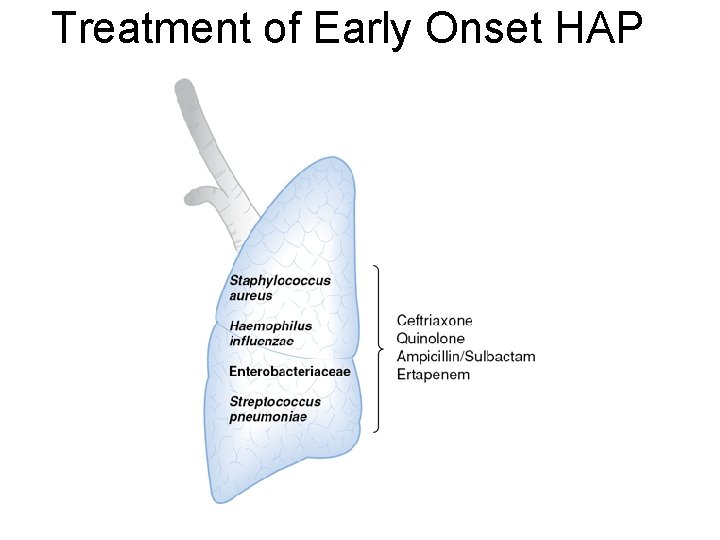 Treatment of Early Onset HAP 