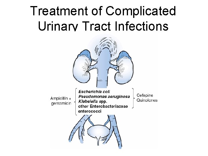 Treatment of Complicated Urinary Tract Infections 
