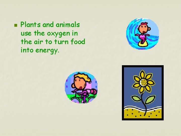 n Plants and animals use the oxygen in the air to turn food into
