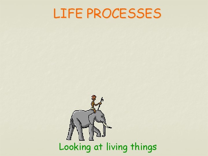 LIFE PROCESSES Looking at living things LIFE PROCESSES Looking at living things