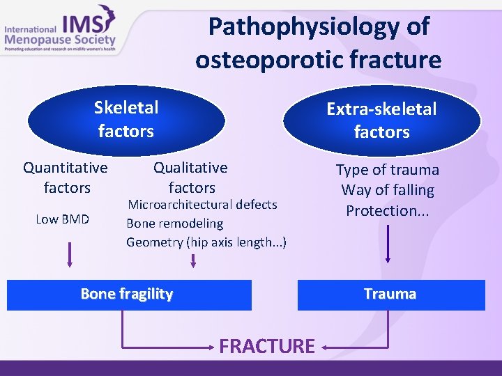 Pathophysiology of osteoporotic fracture Skeletal factors Quantitative factors Low BMD Extra-skeletal factors Qualitative factors Pathophysiology of osteoporotic fracture Skeletal factors Quantitative factors Low BMD Extra-skeletal factors Qualitative factors