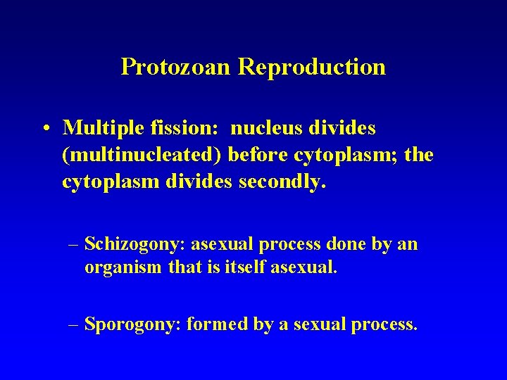 Protozoan Reproduction • Multiple fission: nucleus divides (multinucleated) before cytoplasm; the cytoplasm divides secondly. Protozoan Reproduction • Multiple fission: nucleus divides (multinucleated) before cytoplasm; the cytoplasm divides secondly.