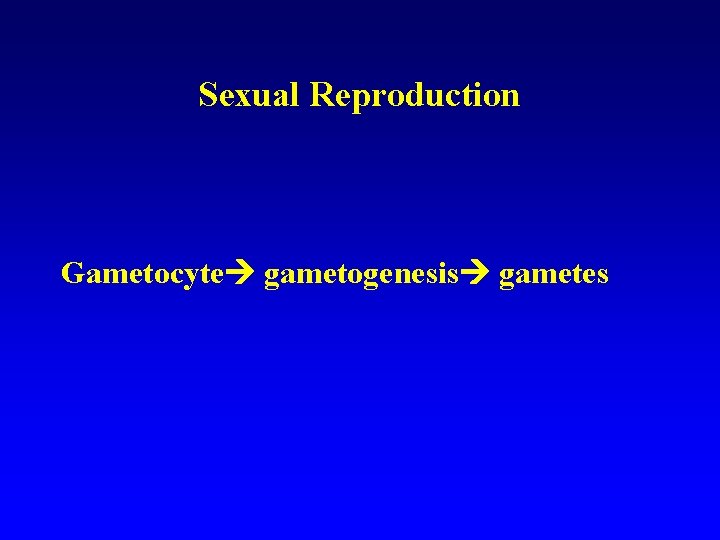 Sexual Reproduction Gametocyte gametogenesis gametes Sexual Reproduction Gametocyte gametogenesis gametes