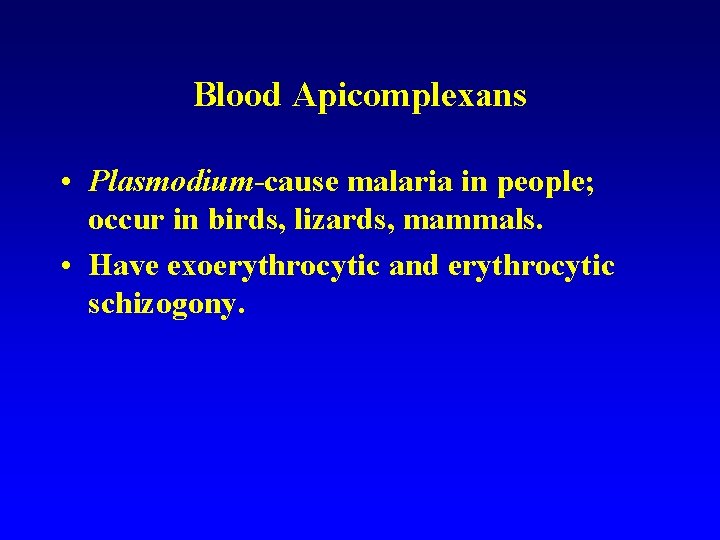 Blood Apicomplexans • Plasmodium-cause malaria in people; occur in birds, lizards, mammals. • Have Blood Apicomplexans • Plasmodium-cause malaria in people; occur in birds, lizards, mammals. • Have