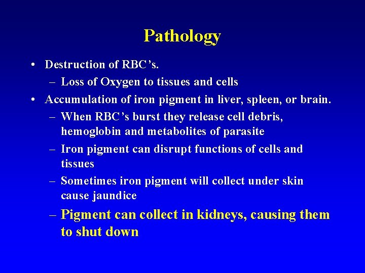 Pathology • Destruction of RBC’s. – Loss of Oxygen to tissues and cells • Pathology • Destruction of RBC’s. – Loss of Oxygen to tissues and cells •