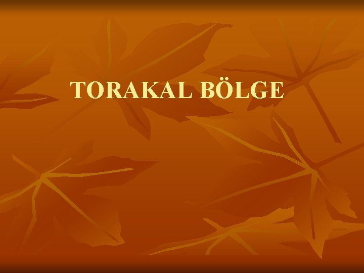 TORAKAL BÖLGE TORAKAL BÖLGE