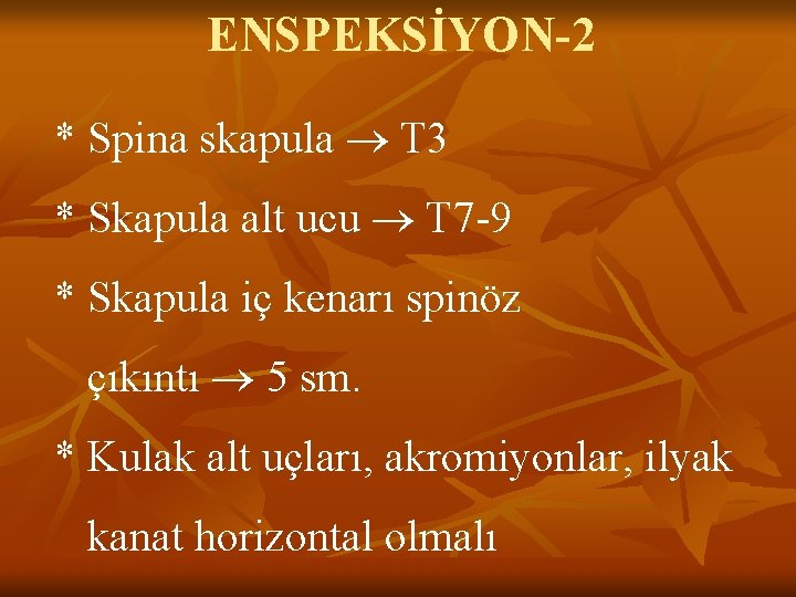 ENSPEKSİYON-2 * Spina skapula T 3 * Skapula alt ucu T 7 -9 * ENSPEKSİYON-2 * Spina skapula T 3 * Skapula alt ucu T 7 -9 *