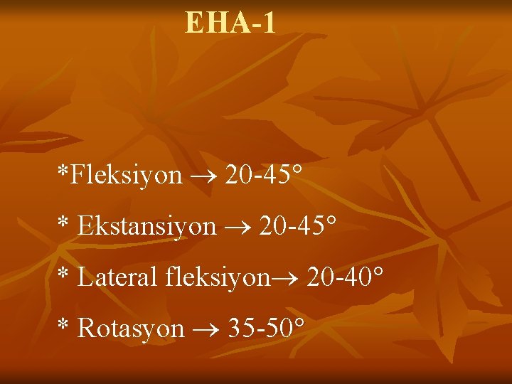 EHA-1 *Fleksiyon 20 -45° * Ekstansiyon 20 -45° * Lateral fleksiyon 20 -40° * EHA-1 *Fleksiyon 20 -45° * Ekstansiyon 20 -45° * Lateral fleksiyon 20 -40° *