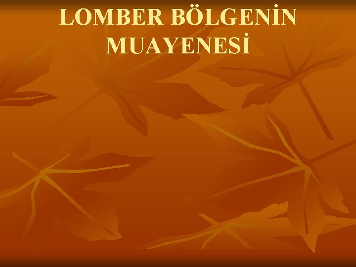 LOMBER BÖLGENİN MUAYENESİ LOMBER BÖLGENİN MUAYENESİ