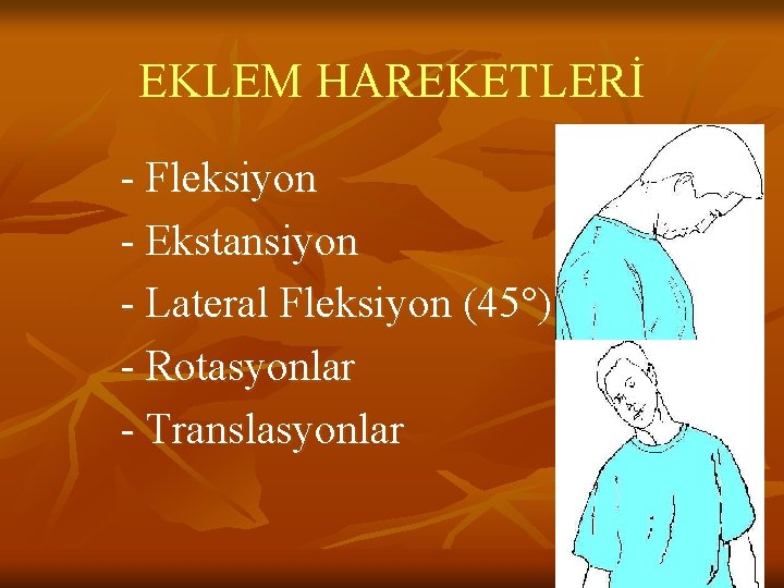 EKLEM HAREKETLERİ - Fleksiyon - Ekstansiyon - Lateral Fleksiyon (45°) - Rotasyonlar - Translasyonlar EKLEM HAREKETLERİ - Fleksiyon - Ekstansiyon - Lateral Fleksiyon (45°) - Rotasyonlar - Translasyonlar