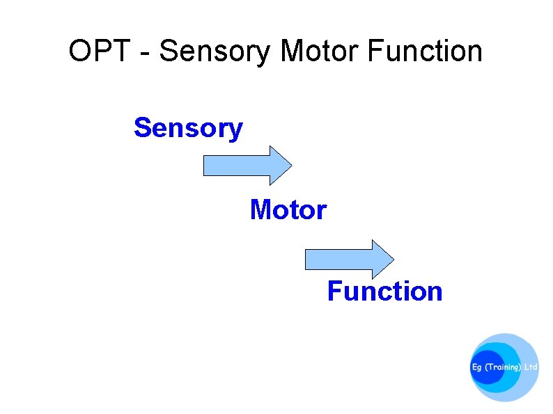 OPT - Sensory Motor Function 