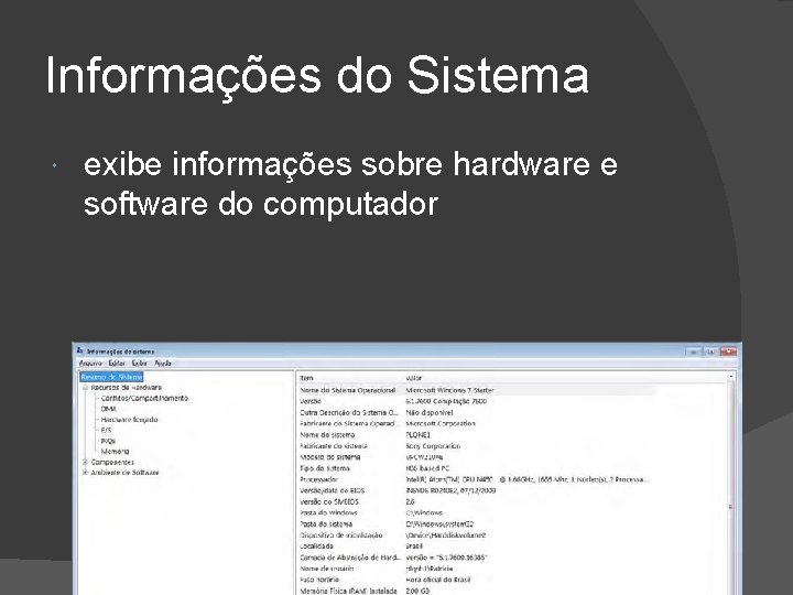 Informações do Sistema exibe informações sobre hardware e software do computador 