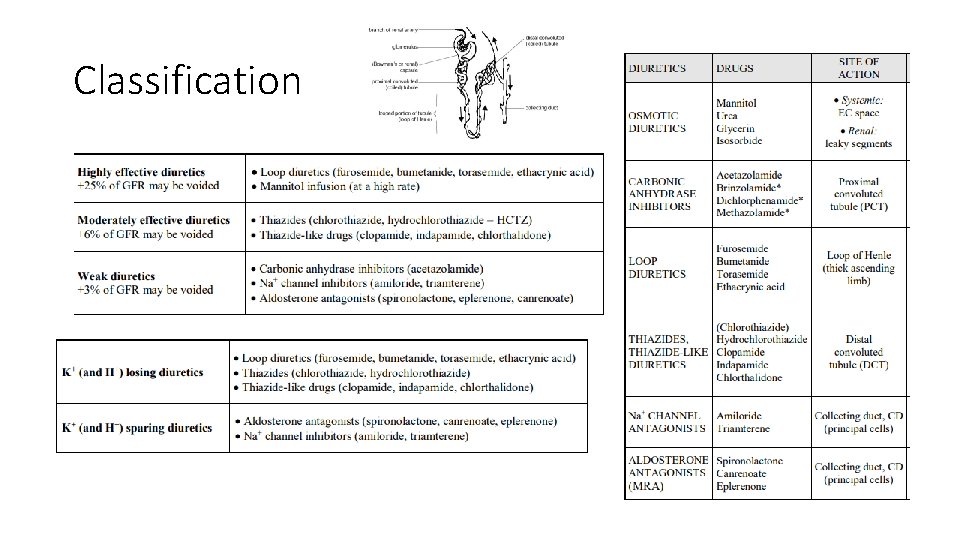 Classification 