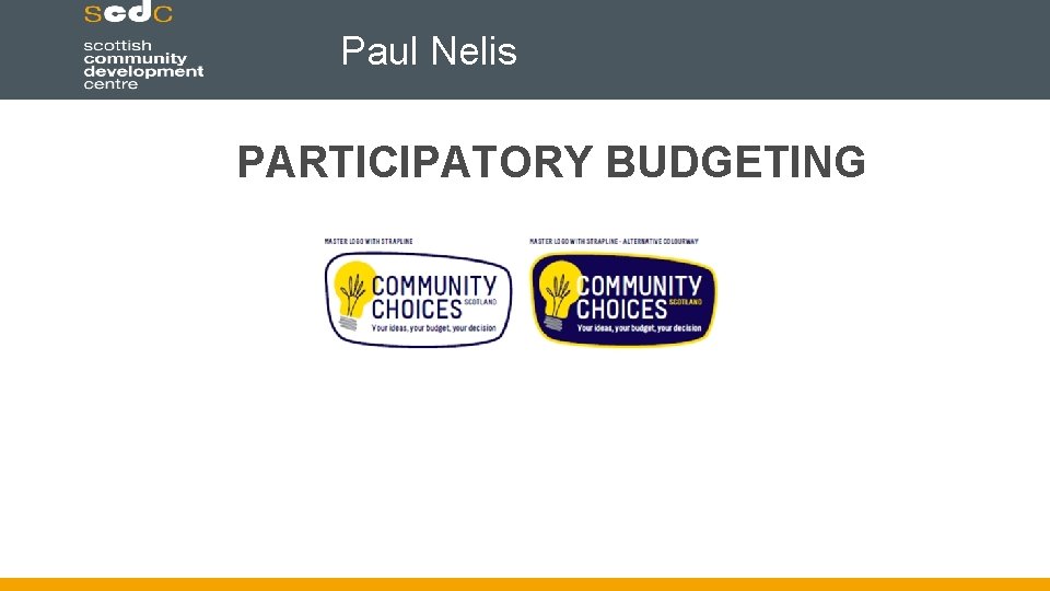 Paul Nelis PARTICIPATORY BUDGETING 