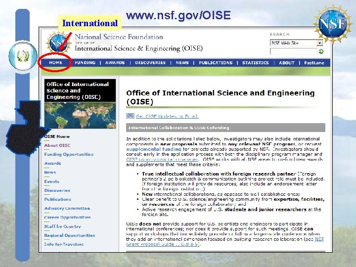 International www. nsf. gov/OISE International www. nsf. gov/OISE