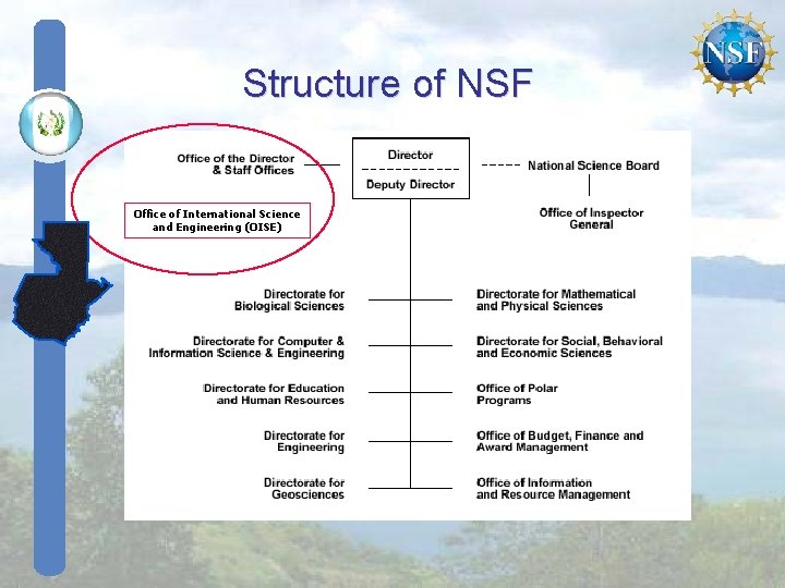 Structure of NSF Office of International Science and Engineering (OISE) Structure of NSF Office of International Science and Engineering (OISE)