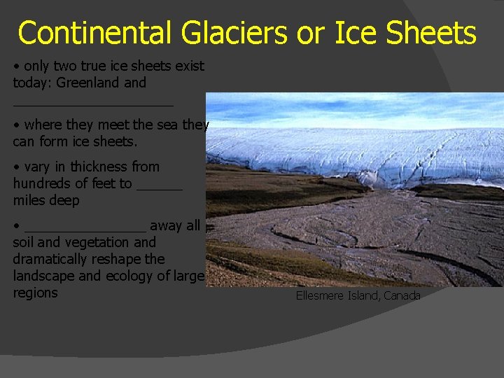 Continental Glaciers or Ice Sheets • only two true ice sheets exist today: Greenland