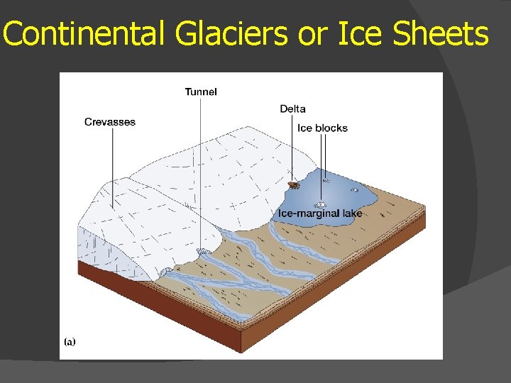 Continental Glaciers or Ice Sheets 