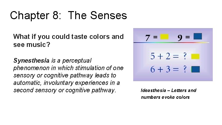 Chapter 8: The Senses What if you could taste colors and see music? Synesthesia