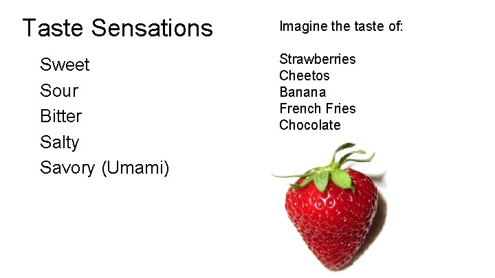 Taste Sensations Sweet Sour Bitter Salty Savory (Umami) Imagine the taste of: Strawberries Cheetos
