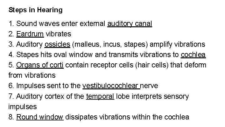 Steps in Hearing 1. Sound waves enter external auditory canal 2. Eardrum vibrates 3.