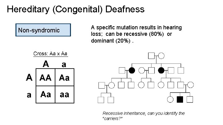 Hereditary (Congenital) Deafness Non-syndromic A specific mutation results in hearing loss; can be recessive