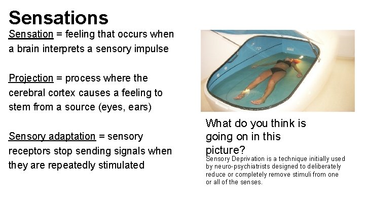 Sensations Sensation = feeling that occurs when a brain interprets a sensory impulse Projection