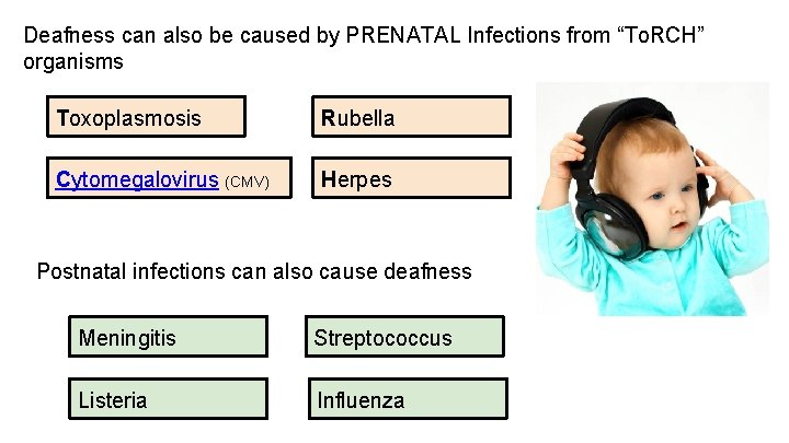 Deafness can also be caused by PRENATAL Infections from “To. RCH” organisms Toxoplasmosis Rubella