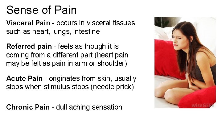 Sense of Pain Visceral Pain - occurs in visceral tissues such as heart, lungs,