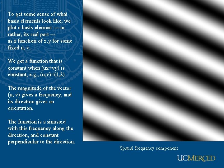 To get some sense of what basis elements look like, we plot a basis