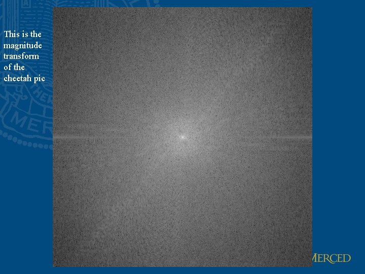 This is the magnitude transform of the cheetah pic 