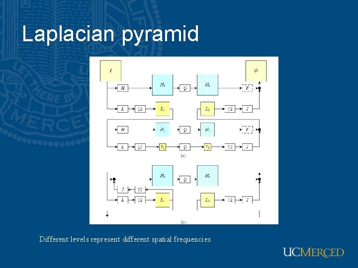 Laplacian pyramid Different levels represent different spatial frequencies 