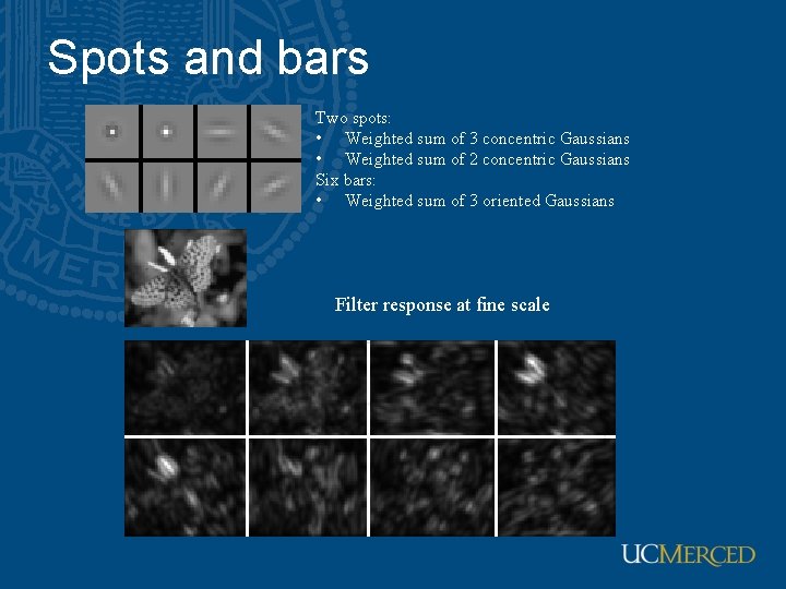 Spots and bars Two spots: • Weighted sum of 3 concentric Gaussians • Weighted