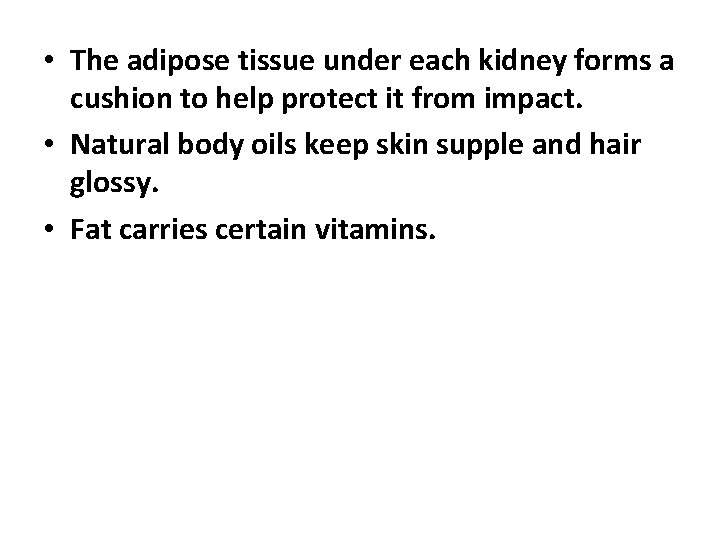  • The adipose tissue under each kidney forms a cushion to help protect