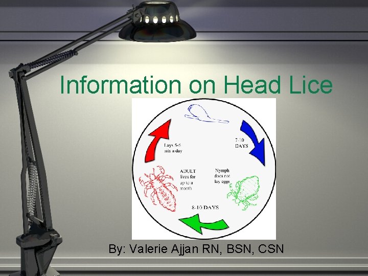 Information on Head Lice By: Valerie Ajjan RN, BSN, CSN 