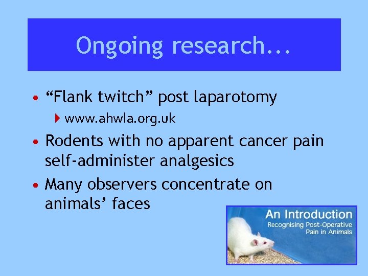 Ongoing research. . . • “Flank twitch” post laparotomy 4 www. ahwla. org. uk