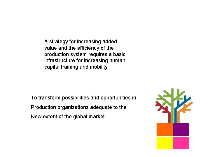 A strategy for increasing added value and the efficiency of the production system requires