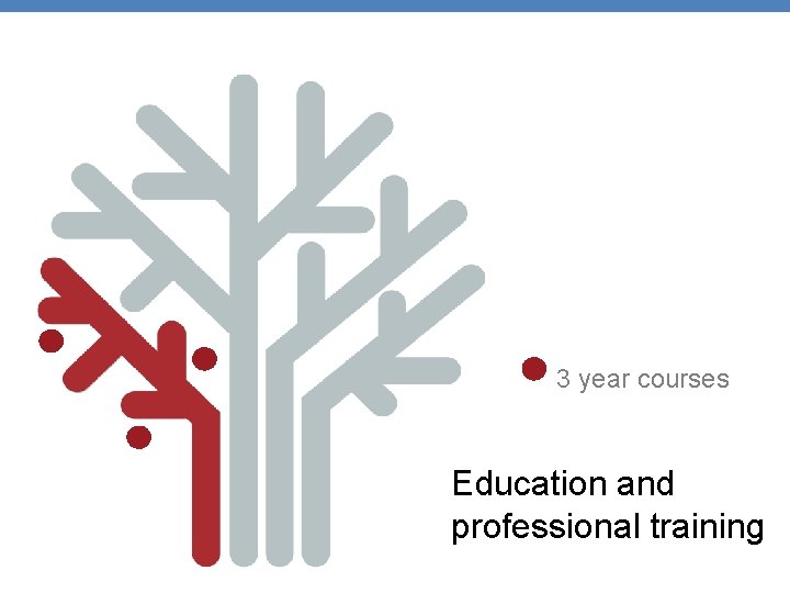 3 year courses Education and professional training 