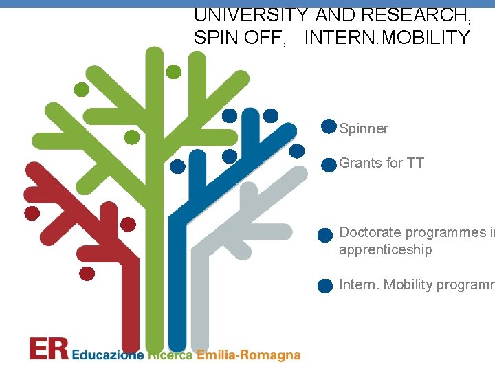 UNIVERSITY AND RESEARCH, SPIN OFF, INTERN. MOBILITY Spinner Grants for TT Doctorate programmes in