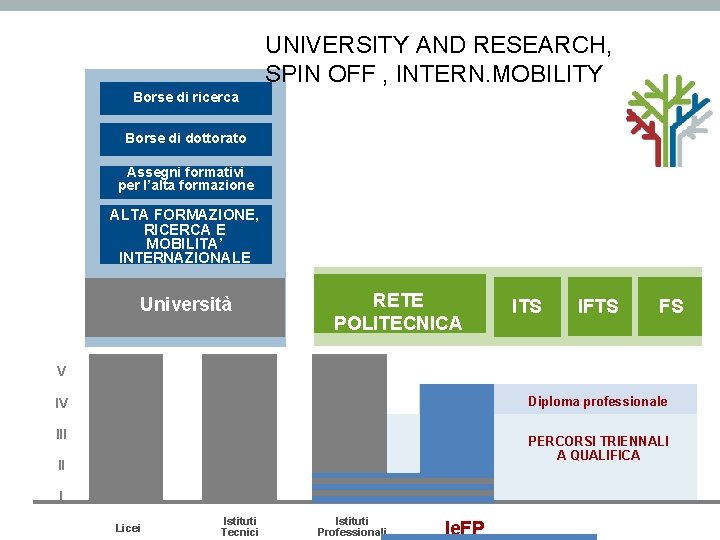 UNIVERSITY AND RESEARCH, SPIN OFF , INTERN. MOBILITY Borse di ricerca Borse di dottorato