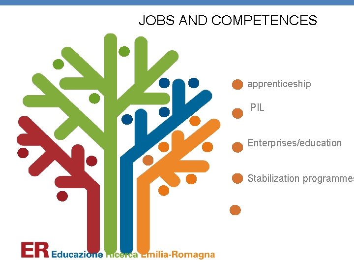 JOBS AND COMPETENCES apprenticeship PIL Enterprises/education Stabilization programmes 