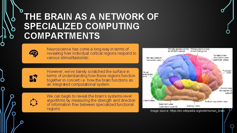 THE BRAIN AS A NETWORK OF SPECIALIZED COMPUTING COMPARTMENTS Neuroscience has come a long