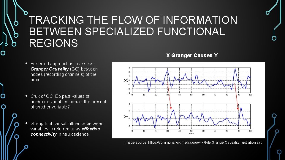 TRACKING THE FLOW OF INFORMATION BETWEEN SPECIALIZED FUNCTIONAL REGIONS X Granger Causes Y •
