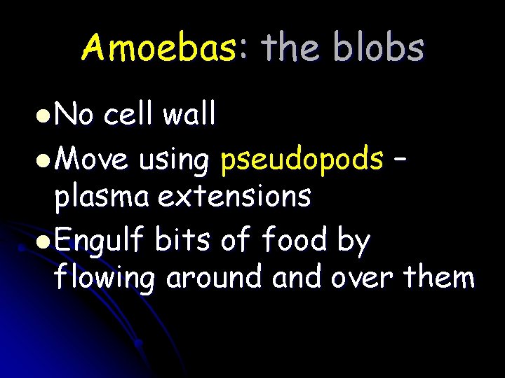 Amoebas: the blobs l No cell wall l Move using pseudopods – plasma extensions