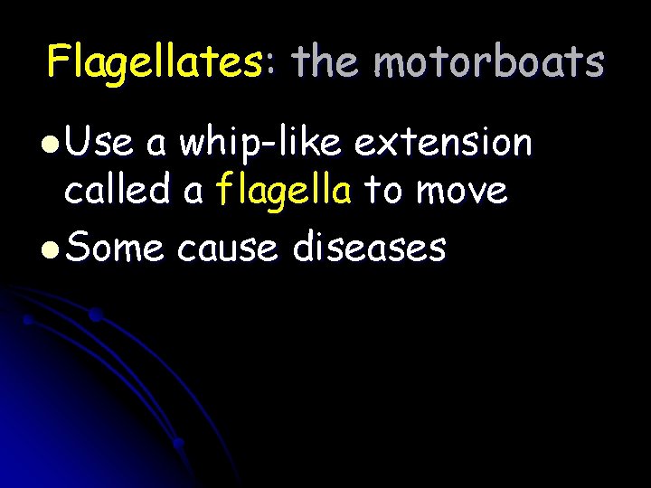 Flagellates: the motorboats l Use a whip-like extension called a flagella to move l