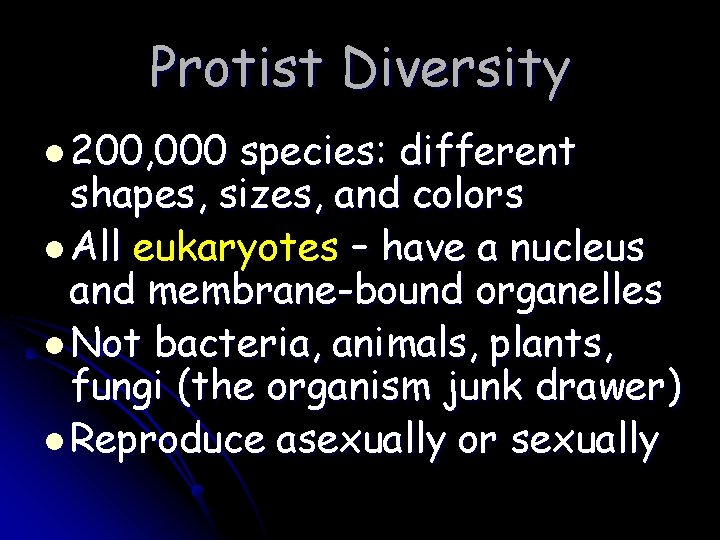 Protist Diversity l 200, 000 species: different shapes, sizes, and colors l All eukaryotes
