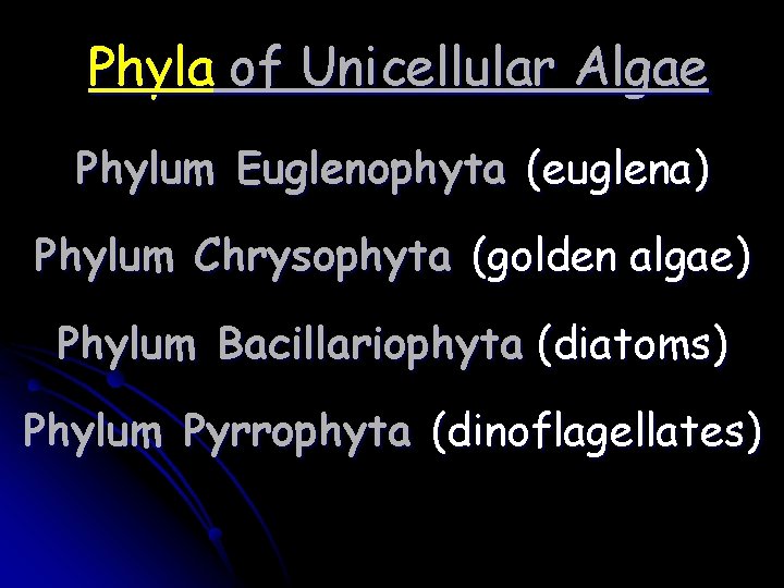 Phyla of Unicellular Algae Phylum Euglenophyta (euglena) Phylum Chrysophyta (golden algae) Phylum Bacillariophyta (diatoms)