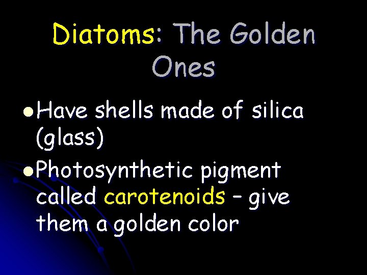 Diatoms: The Golden Ones l Have shells made of silica (glass) l Photosynthetic pigment